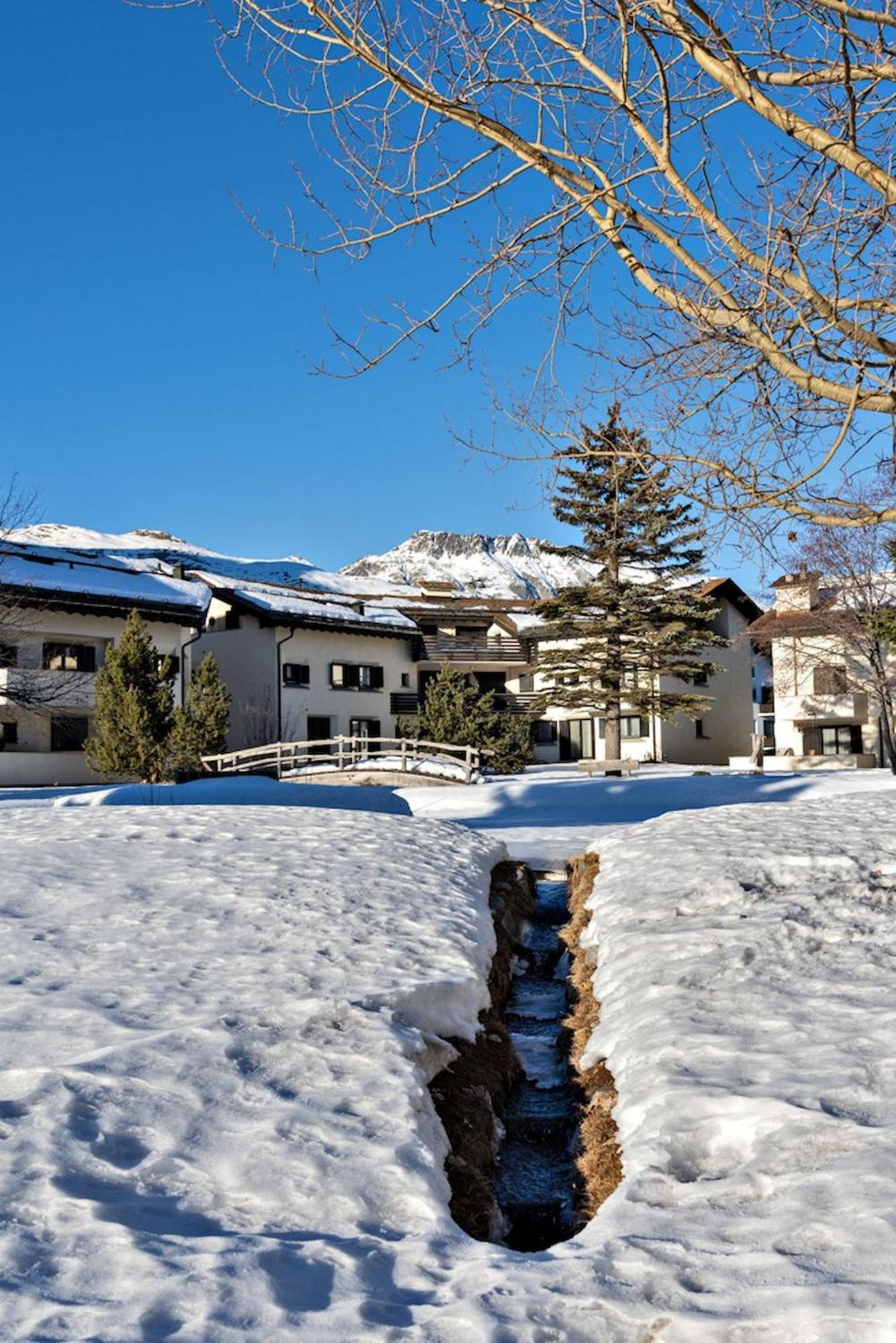 Apartament Chesa Chavriol - Celerina Celerina/Schlarigna Zewnętrze zdjęcie